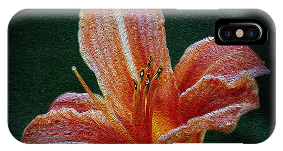 Lily iPhone X Case featuring the photograph Day Lily Rapture by Jeanette C Landstrom