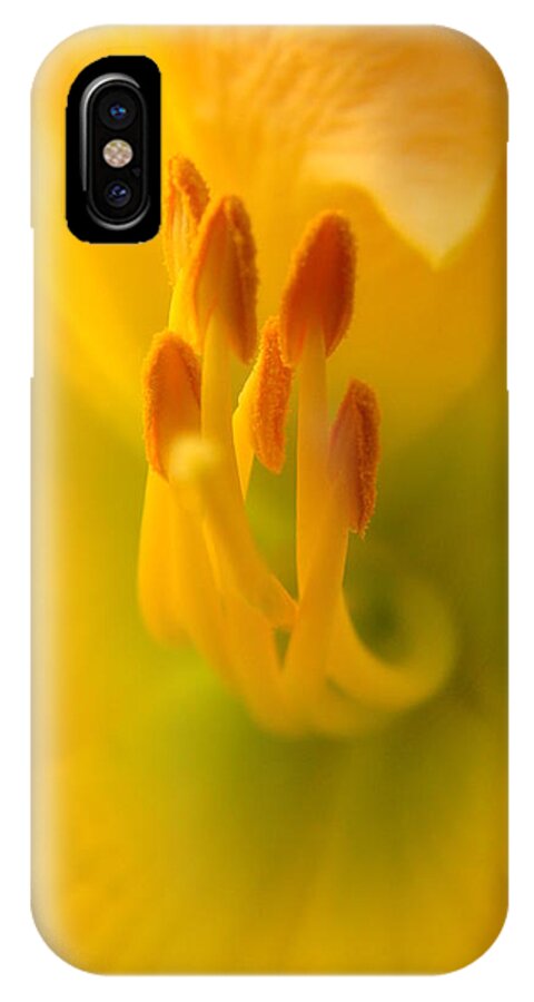 Daylily iPhone X Case featuring the photograph Tickle Your Fancy by Rick Rosenshein