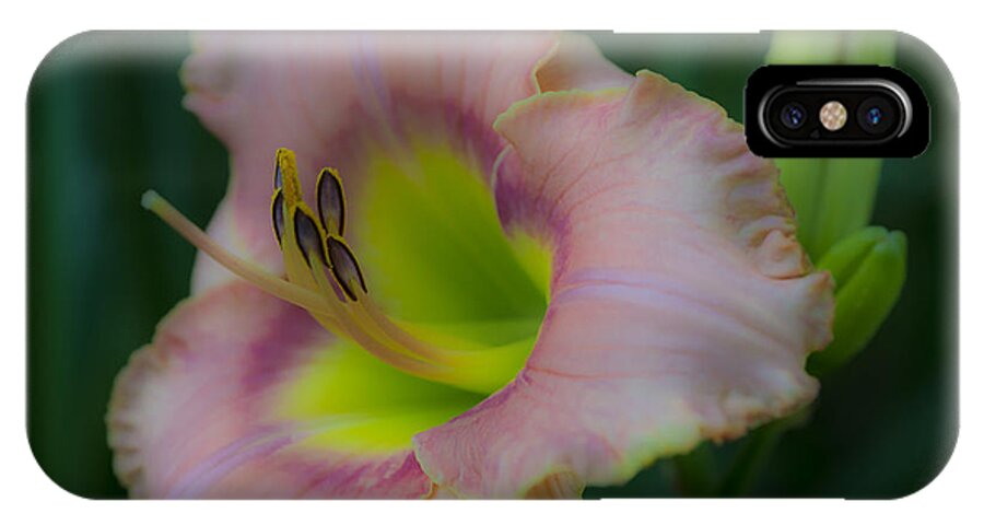 Flowers iPhone X Case featuring the photograph Daylily by Phil Abrams