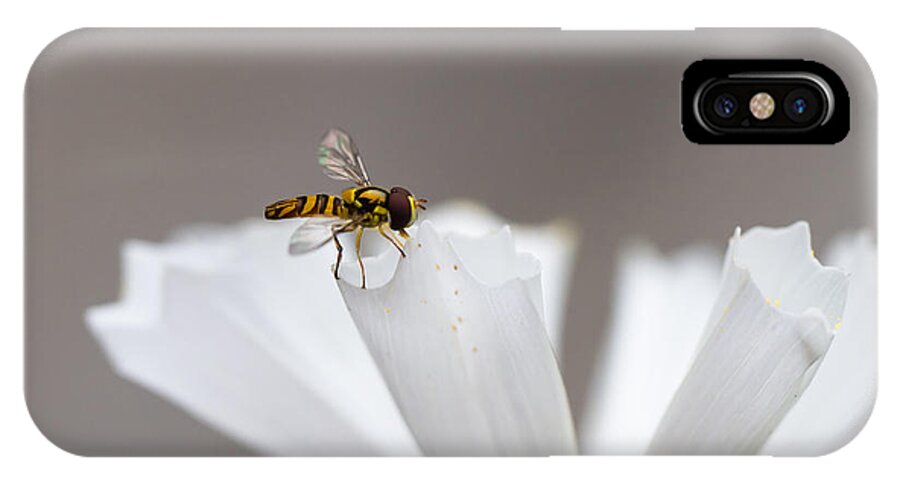Hoverfly iPhone X Case featuring the photograph Delicate Landing by Paula Ponath