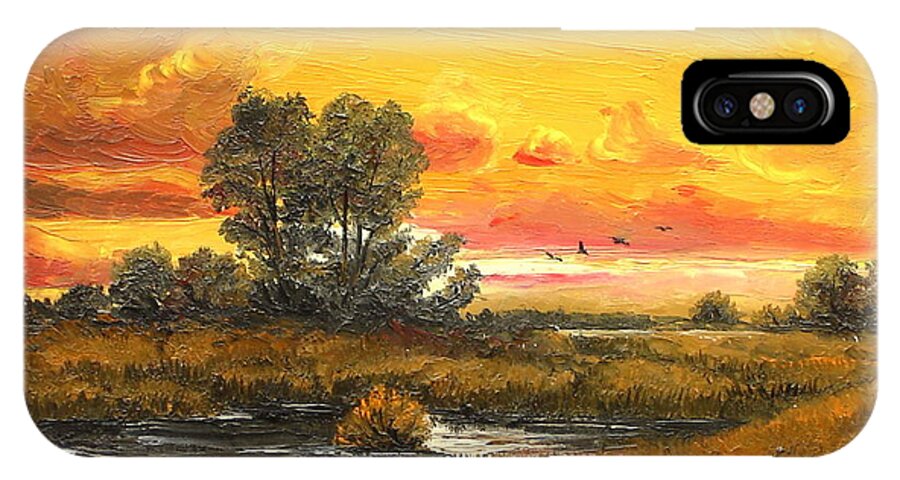 Sunset iPhone X Case featuring the painting Delta Sunset by Sorin Apostolescu