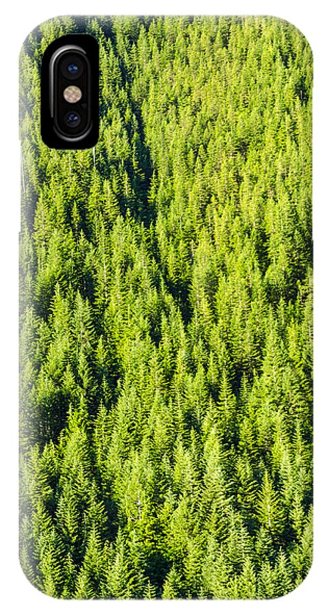 Forest iPhone X Case featuring the photograph Dense Forest by Jess Kraft