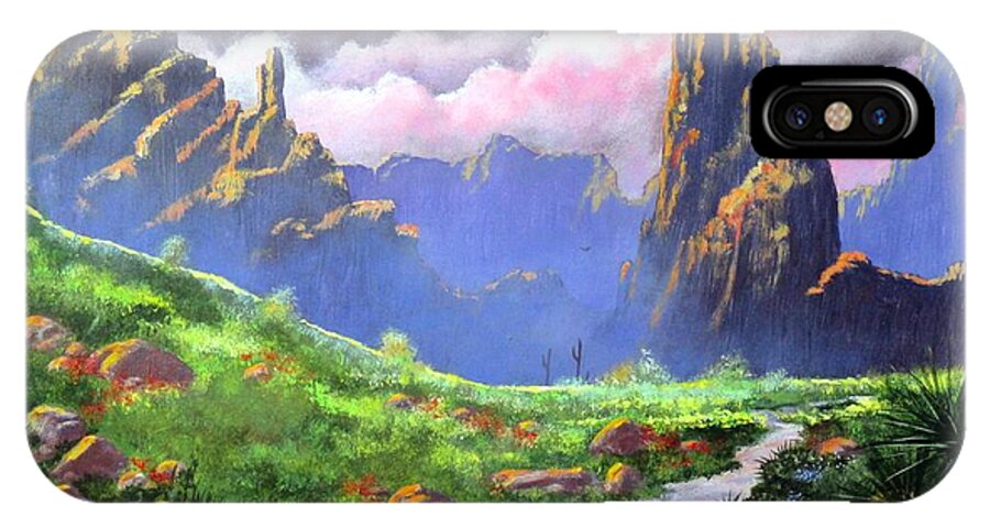 Desert Springs iPhone X Case featuring the painting Desert Mountains by Michael Dillon