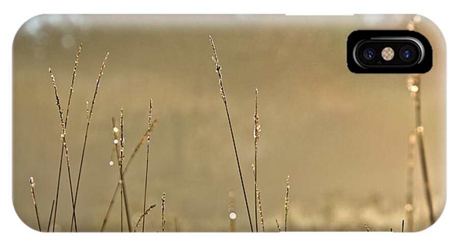  iPhone X Case featuring the photograph Dew Fog and Grasses by Cheryl Baxter