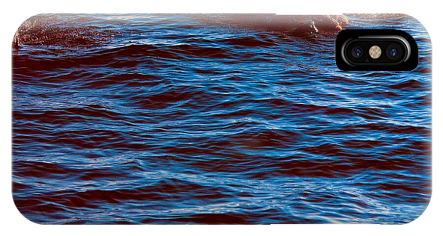 Dolphins iPhone X Case featuring the photograph Dolphin Visitors by Loretta Jean Photography