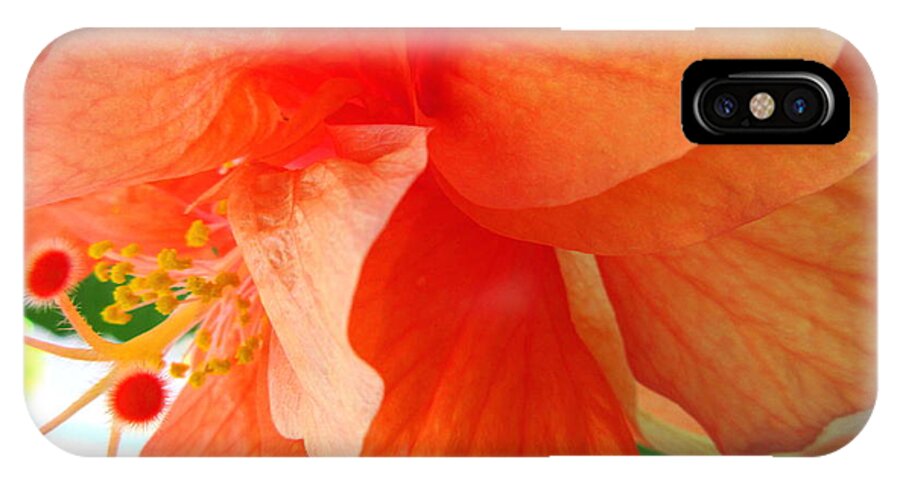 Hibiscus iPhone X Case featuring the photograph Double Peach by Ashley Goforth