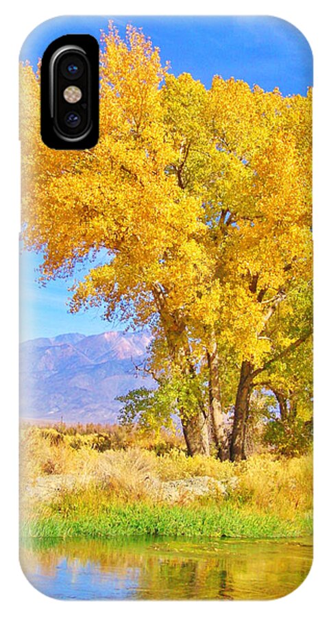 Sky iPhone X Case featuring the photograph Double Take by Marilyn Diaz