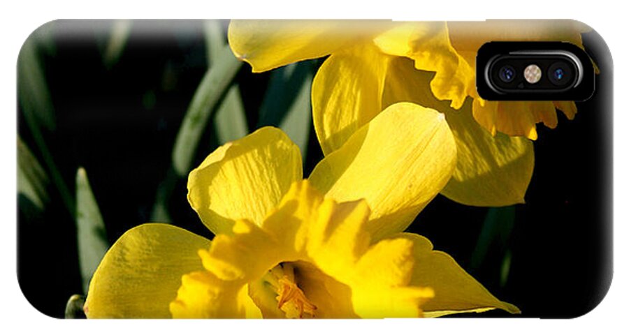 Daffodil iPhone X Case featuring the photograph Double Yellow by Karen Harrison Brown