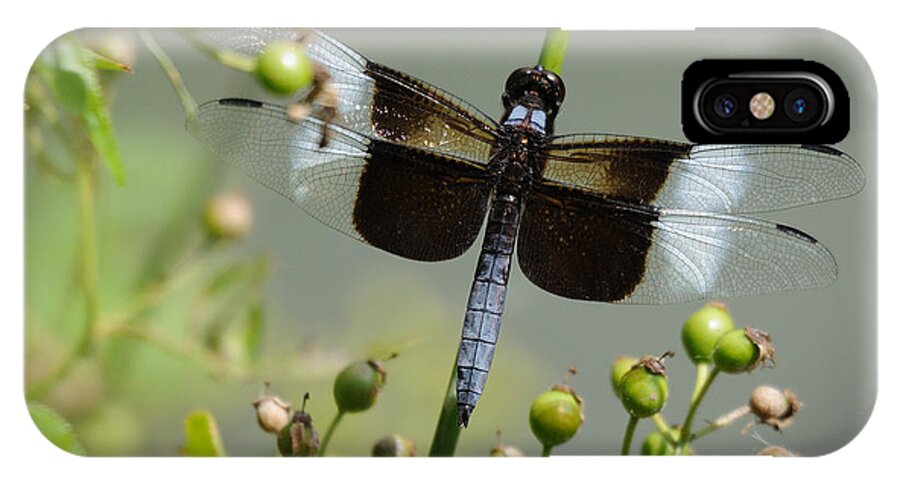 Dragonfly iPhone X Case featuring the photograph Dragonfly by David Hart