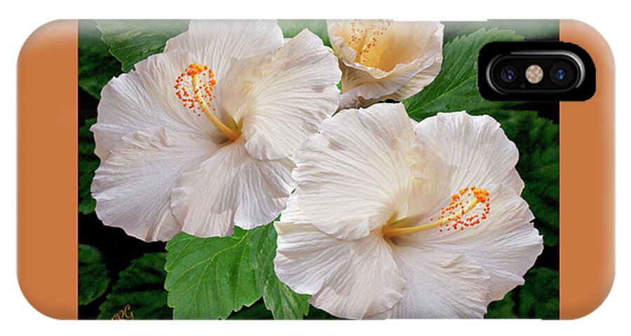 Tropical Flower iPhone X Case featuring the photograph Dreamy Blooms - White Hibiscus by Ben and Raisa Gertsberg