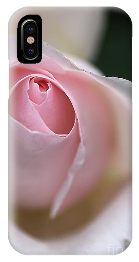 Floribunda Rose iPhone X Case featuring the photograph Dreamy Rose by Joy Watson