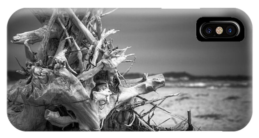Driftwood iPhone X Case featuring the photograph Driftwood at Race Point by Brian Caldwell