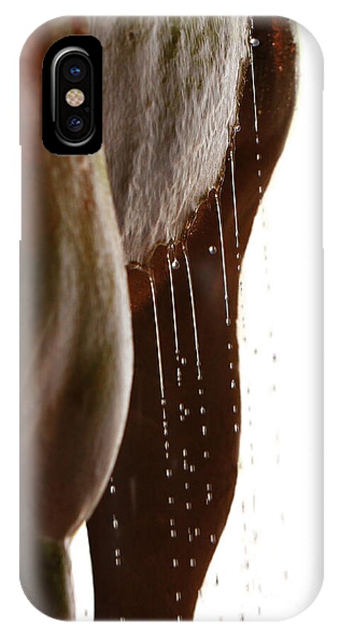 Nature iPhone X Case featuring the photograph Drip Dry by Michelle Twohig