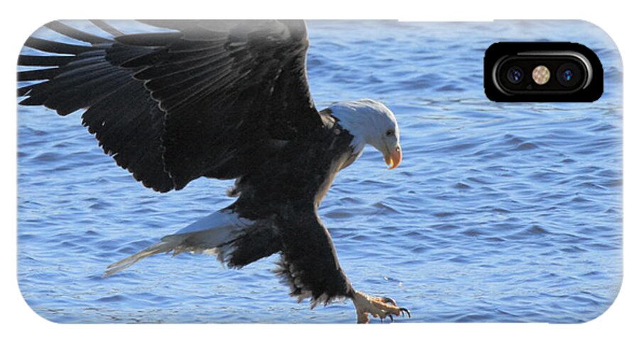 American Bald Eagle iPhone X Case featuring the photograph Eagle Grab by Coby Cooper