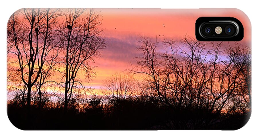 Sunrise iPhone X Case featuring the photograph Early Morning Color Canvass by Wanda Brandon