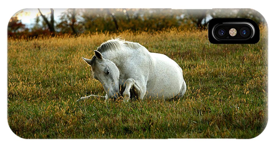 Horse iPhone X Case featuring the photograph Easier Lying Down by Carol Lynn Coronios