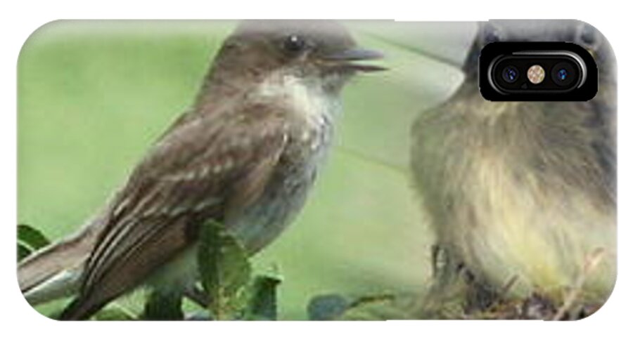 Birds iPhone X Case featuring the photograph Eastern Phoebe Family by Natalie Rotman Cote