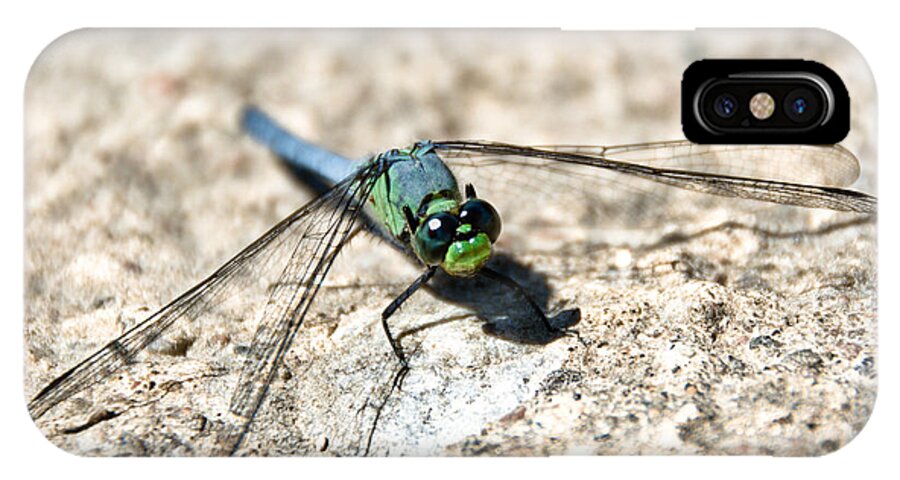 Dragonfly iPhone X Case featuring the photograph Eastern Pondhawk by Cheryl Baxter