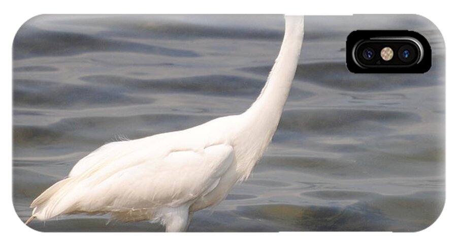 Egret iPhone X Case featuring the photograph Egret wading and watching by Dan Williams
