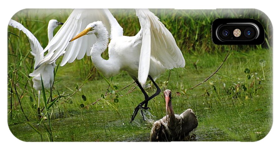 Egret iPhone X Case featuring the photograph Egrets taking flight by Dan Williams