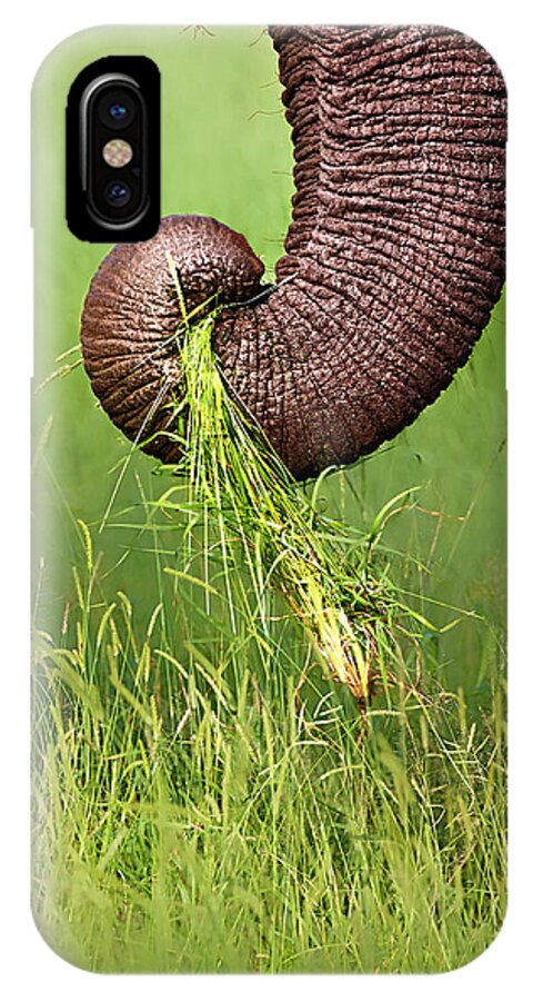Close-up iPhone X Case featuring the photograph Elephant trunk pulling grass by Johan Swanepoel