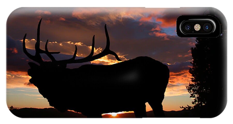Elk iPhone X Case featuring the photograph Elk At Sunset by Shane Bechler