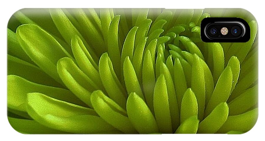 Flora iPhone X Case featuring the photograph Emerald Dahlia by Bruce Bley