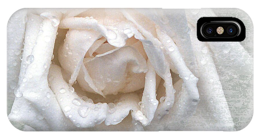 White Rose iPhone X Case featuring the photograph Emerging by Terri Harper