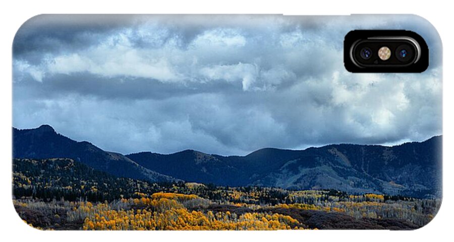 Aspens iPhone X Case featuring the photograph End of Fall by Jacqui Binford-Bell