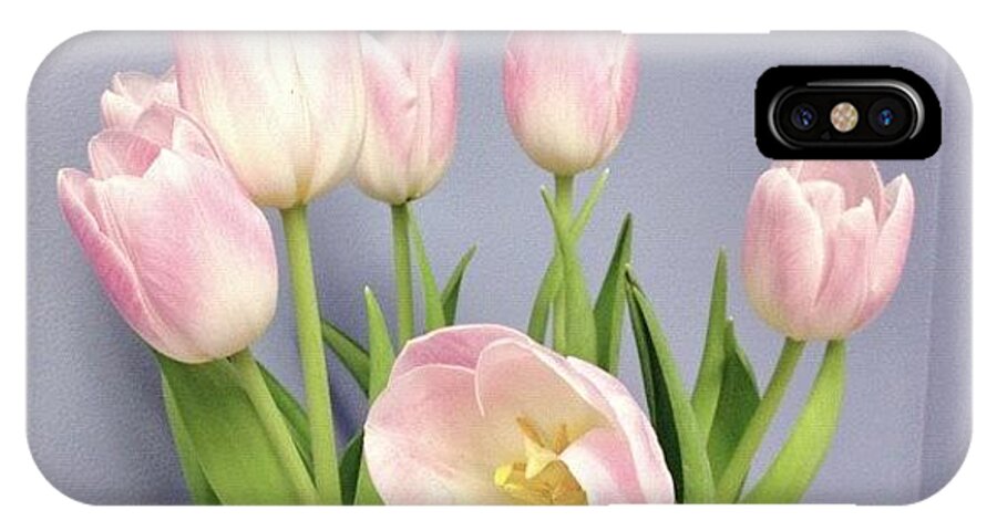 Pink iPhone X Case featuring the photograph Enjoying #tulips In My Office This by Teresa Mucha