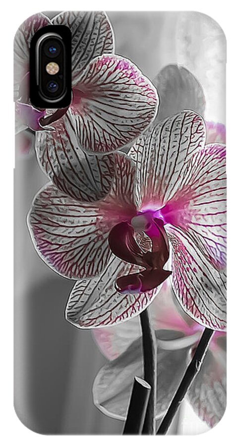 Spring iPhone X Case featuring the photograph Ethereal Orchid by Bianca Nadeau