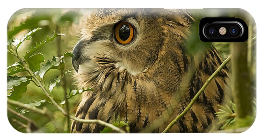 Eurasian Eagle-owl iPhone X Case featuring the photograph Eurasian Eagle-Owl 2 by Tracy Winter