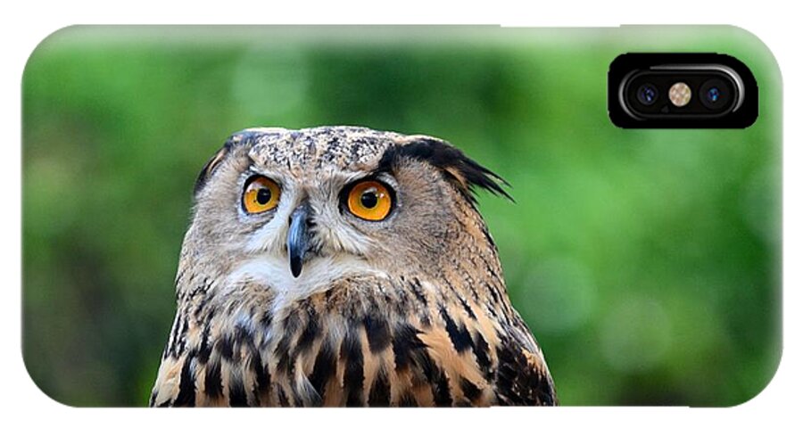Owl iPhone X Case featuring the photograph Eurasian or European Eagle owl bubo bubo stares intently by Imran Ahmed