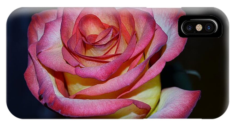 Rose iPhone X Case featuring the photograph Event Rose too by Felicia Tica