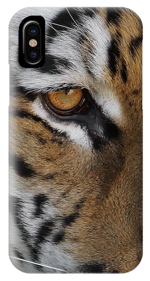 Tiger iPhone X Case featuring the photograph Eye of the Tiger by Ernest Echols