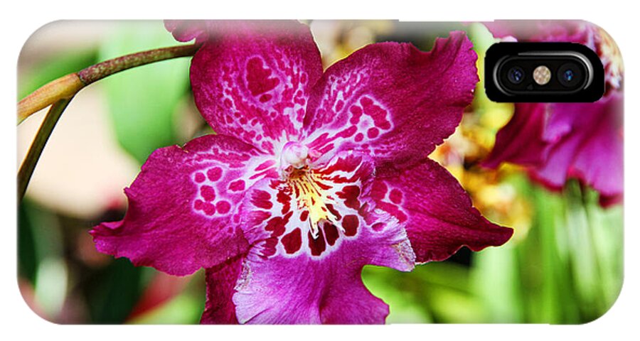 Orchids iPhone X Case featuring the photograph Fabulous Fushia Orchids By Diana Sainz by Diana Raquel Sainz
