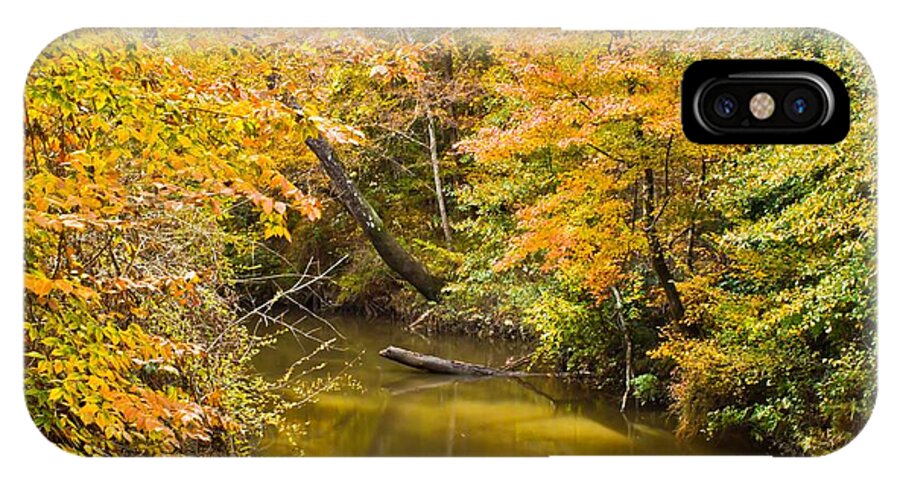 Michael Tidwell Photography iPhone X Case featuring the photograph Fall Creek Foliage by Michael Tidwell