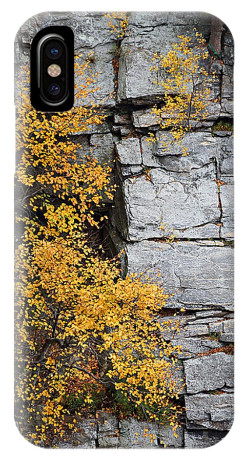 Autumn iPhone X Case featuring the photograph Fall Foliage Colors 01 by Metro DC Photography