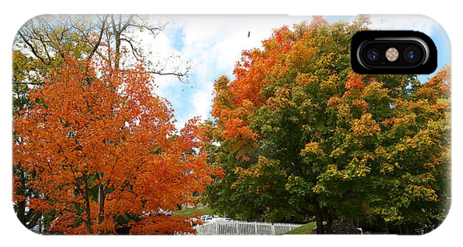Autumn iPhone X Case featuring the photograph Fall Foliage Colors 09 by Metro DC Photography
