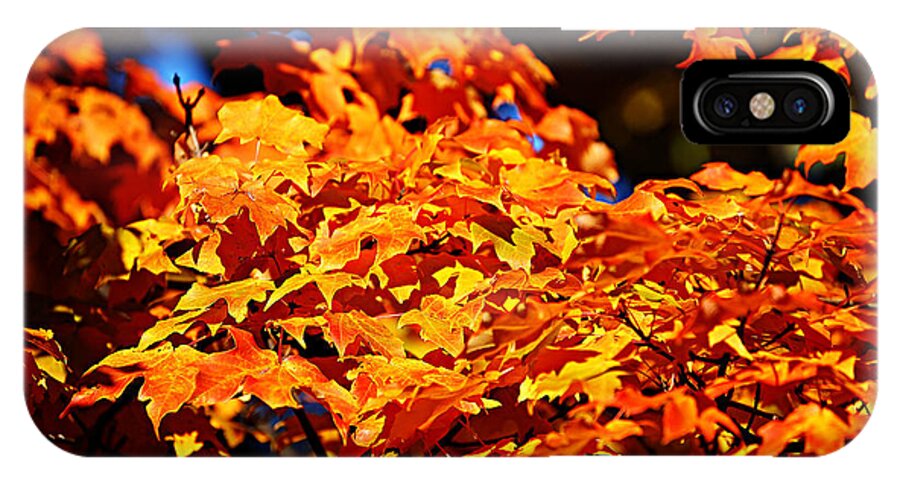 Autumn iPhone X Case featuring the photograph Fall Foliage Colors 16 by Metro DC Photography