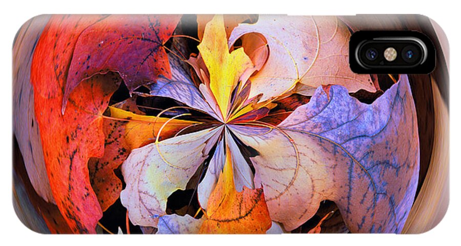 Orb iPhone X Case featuring the photograph Fall Leaves Orb by Bill Barber