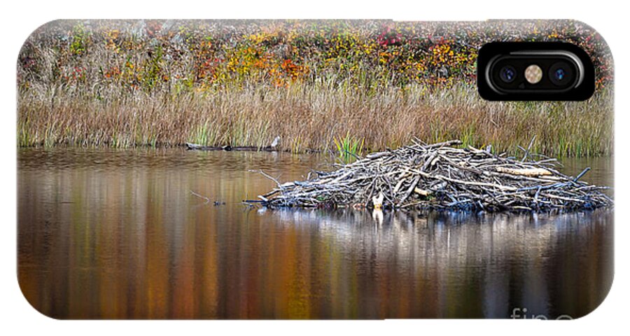 Beaver Dam iPhone X Case featuring the photograph Fall Reflections by Bianca Nadeau