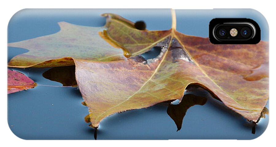 Leaves iPhone X Case featuring the photograph Fall Reflections by Jane Ford