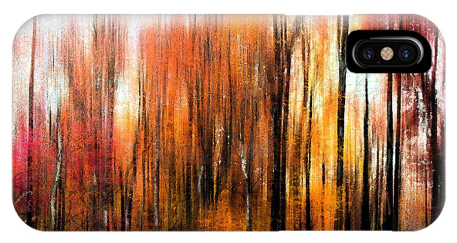 Abstract iPhone X Case featuring the photograph Fall Trees of Bucks County by Tom Gari Gallery-Three-Photography