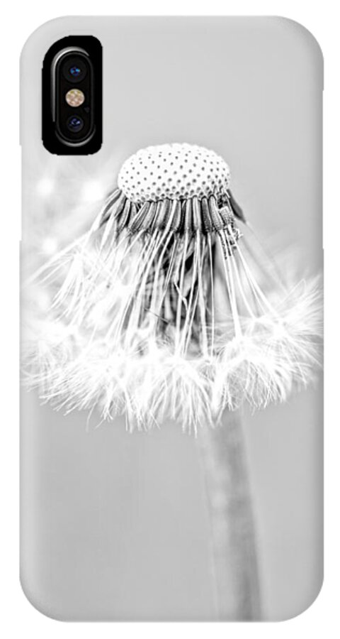 Dandelion iPhone X Case featuring the photograph Falling Apart by Sandra Parlow