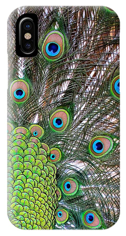 Peacock iPhone X Case featuring the photograph Fans And Eyes by Pat Exum