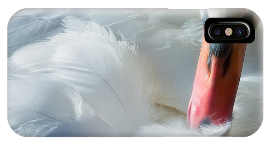 Nature iPhone X Case featuring the photograph Feather Flufifng by Joan Herwig