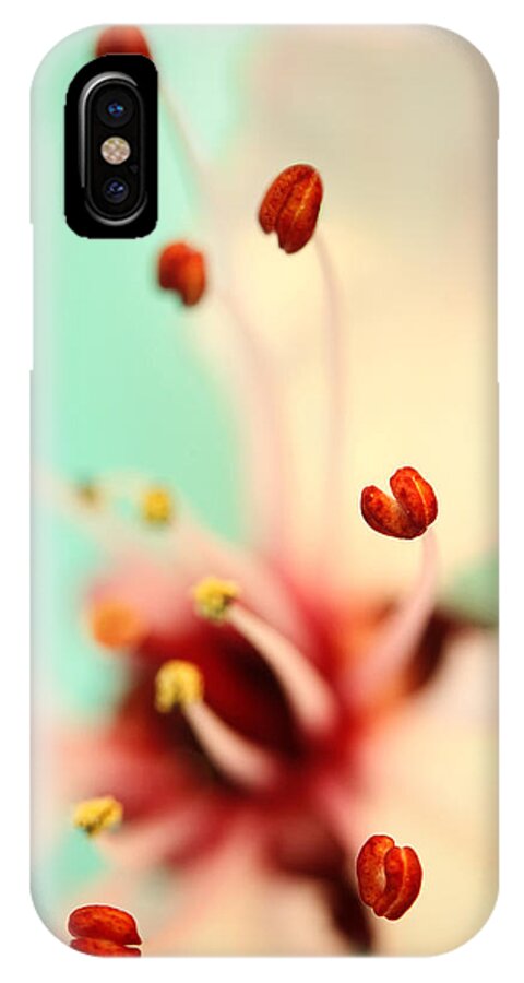 Blossom iPhone X Case featuring the photograph Feeling Spring by Sharon Johnstone