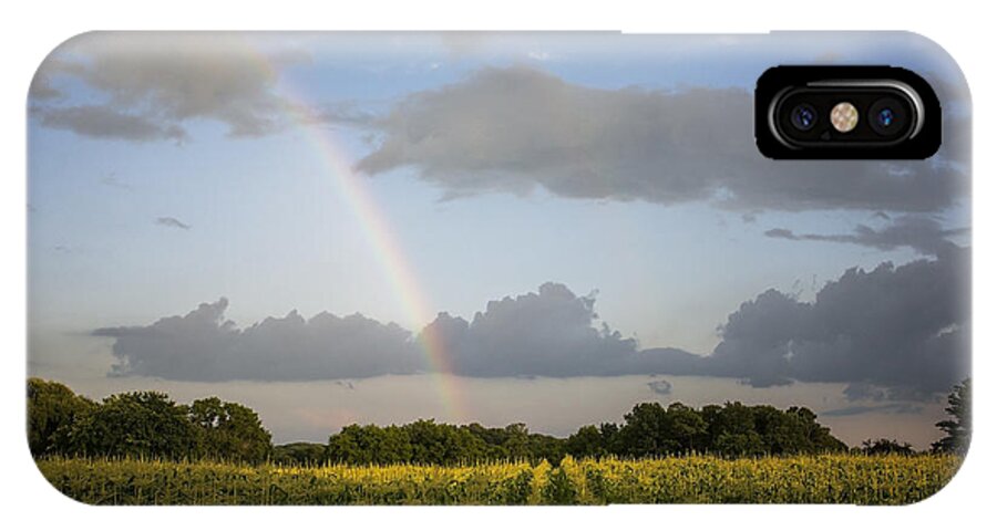 Rainbow iPhone X Case featuring the photograph Fields Of Gold by Dan Hefle