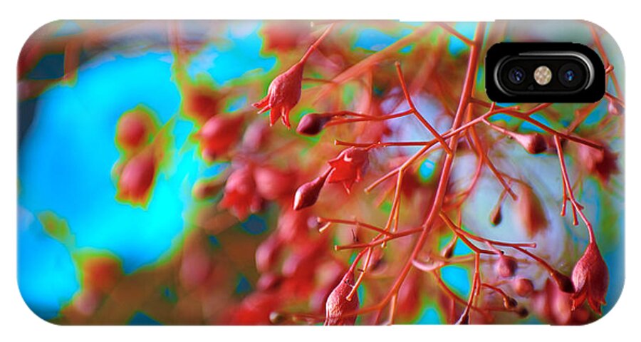  iPhone X Case featuring the photograph Fiery Red Clusters - Illawarra Flame Tree by Kerryn Madsen-Pietsch